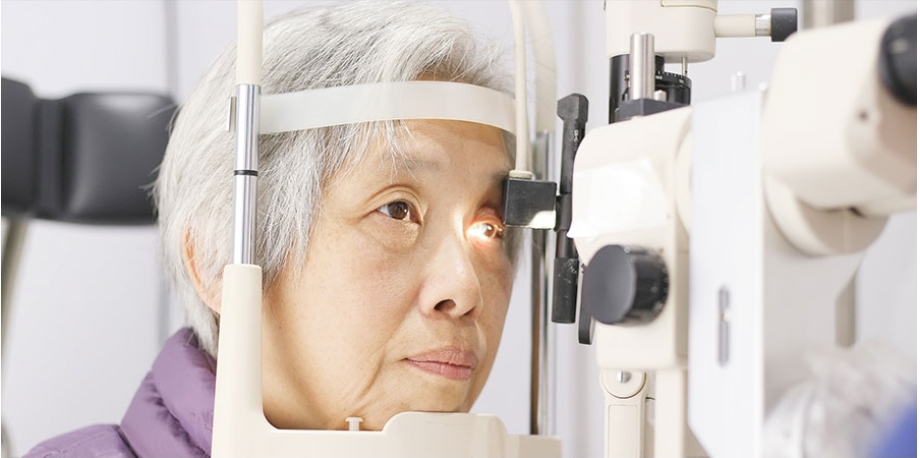 Main vision problems and eye diseases among seniors